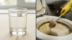 Nič nevyčistilo tak dobre ako toto: žltá toaleta sa zmenila na snehobielu